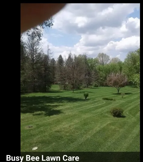 Top-rated yard maintenance in Brownsville, PA - Busy Bee Lawn Care