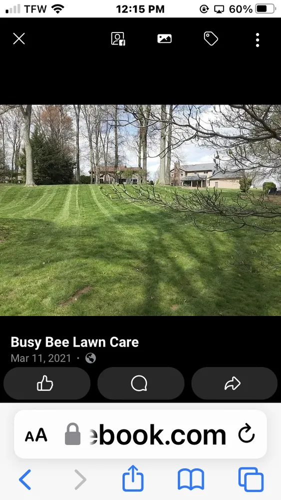 Custom landscape design experts serving Brownsville, PA - Busy Bee Lawn Care