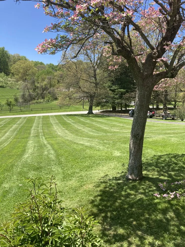 Reliable garden landscaping in Brownsville, PA - Busy Bee Lawn Care