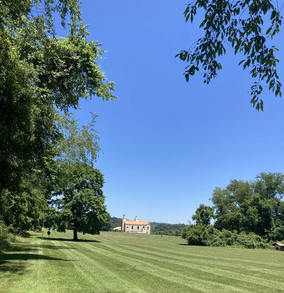 Affordable yard cleanup service experts serving Brownsville, PA - Busy Bee Lawn Care