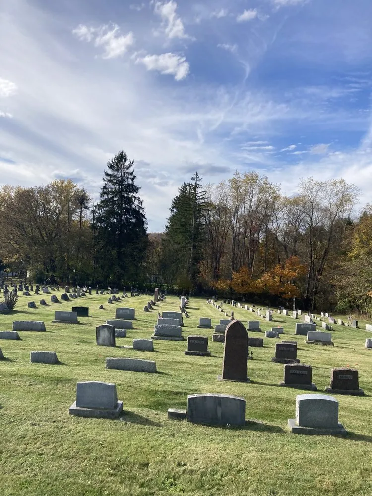 Reliable yard cleanup service in Brownsville, PA - Busy Bee Lawn Care