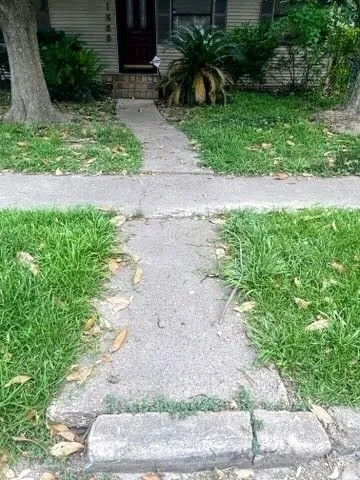 Professional landscape installation experts serving Houston, TX - Busy Bee Lawn Care Heights