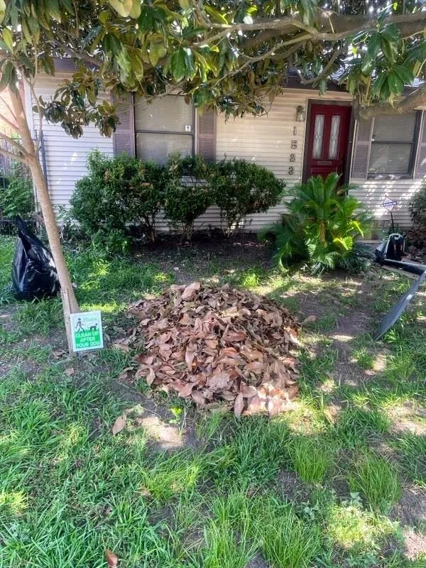 Professional garden landscaping with custom design across Houston, TX - Busy Bee Lawn Care Heights