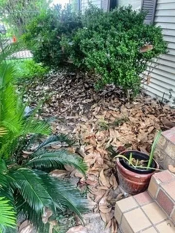 Trusted landscape installation in Houston, TX - Busy Bee Lawn Care Heights