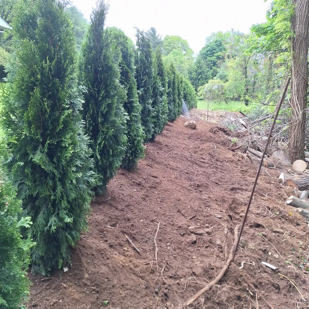 Top-rated landscape installation for residential properties in Mastic, NY by Busy Bee Lawn Care