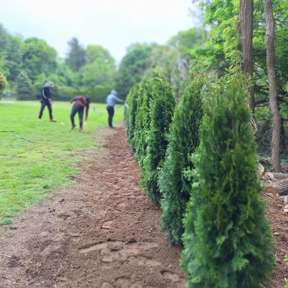 Top-rated landscaping services experts serving Mastic, NY - Busy Bee Lawn Care