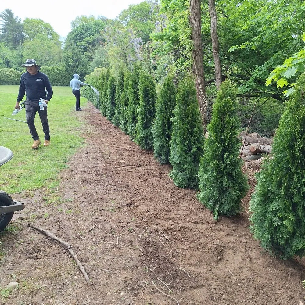 Top-rated yard maintenance in Mastic, NY by Busy Bee Lawn Care