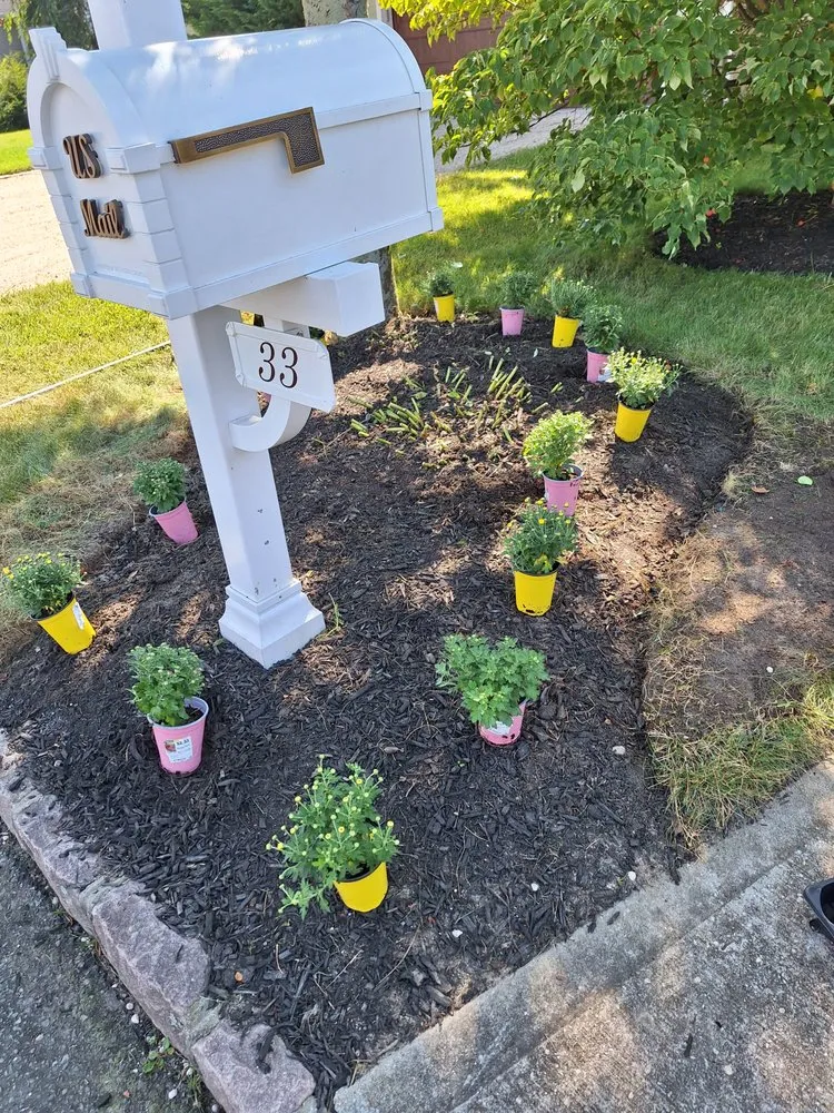 Custom lawn care service in Mastic, NY by Busy Bee Lawn Care