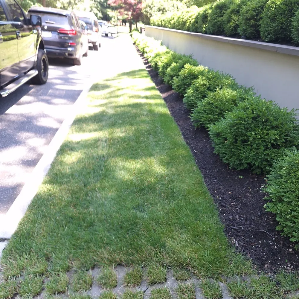 Affordable residential landscaping in Mastic, NY - Busy Bee Lawn Care