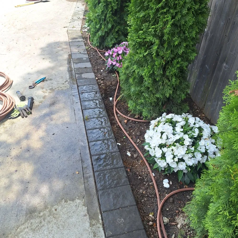 Reliable lawn care service in Mastic, NY - Busy Bee Lawn Care