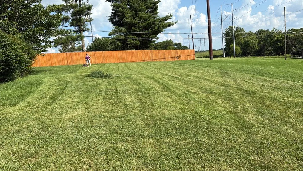 Custom yard cleanup service for residential properties across Lancaster, KY - Busy Bee Lawn Service