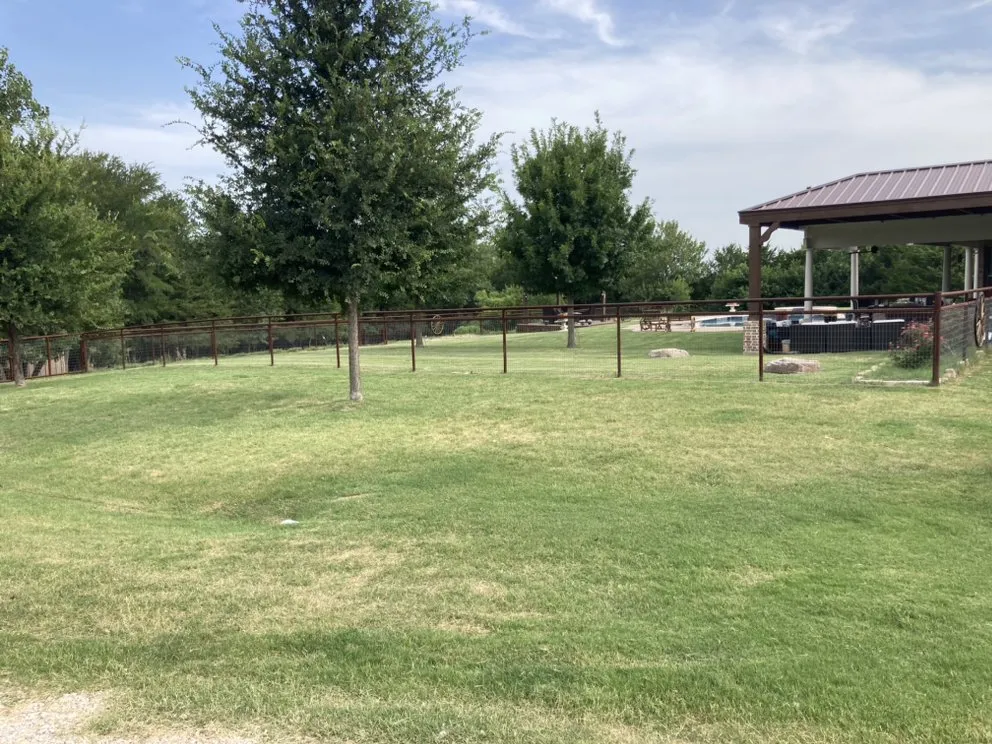 Trusted yard maintenance experts serving Celina, TX - Busy Bee Lawncare
