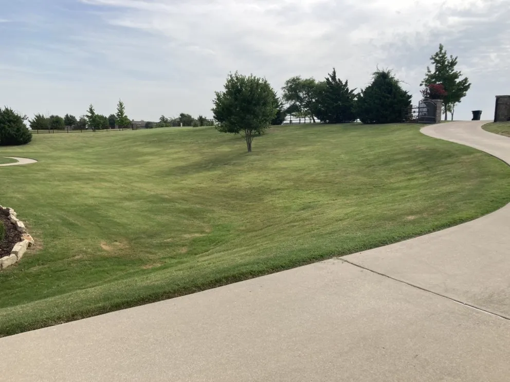 Trusted landscape installation for outdoor upgrades across Celina, TX - Busy Bee Lawncare