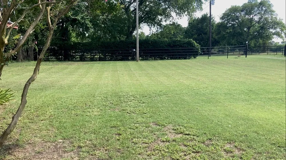 Local lawn mowing service in Celina, TX - Busy Bee Lawncare