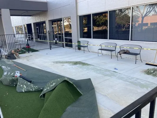 Busy Bee Lawncare Logo