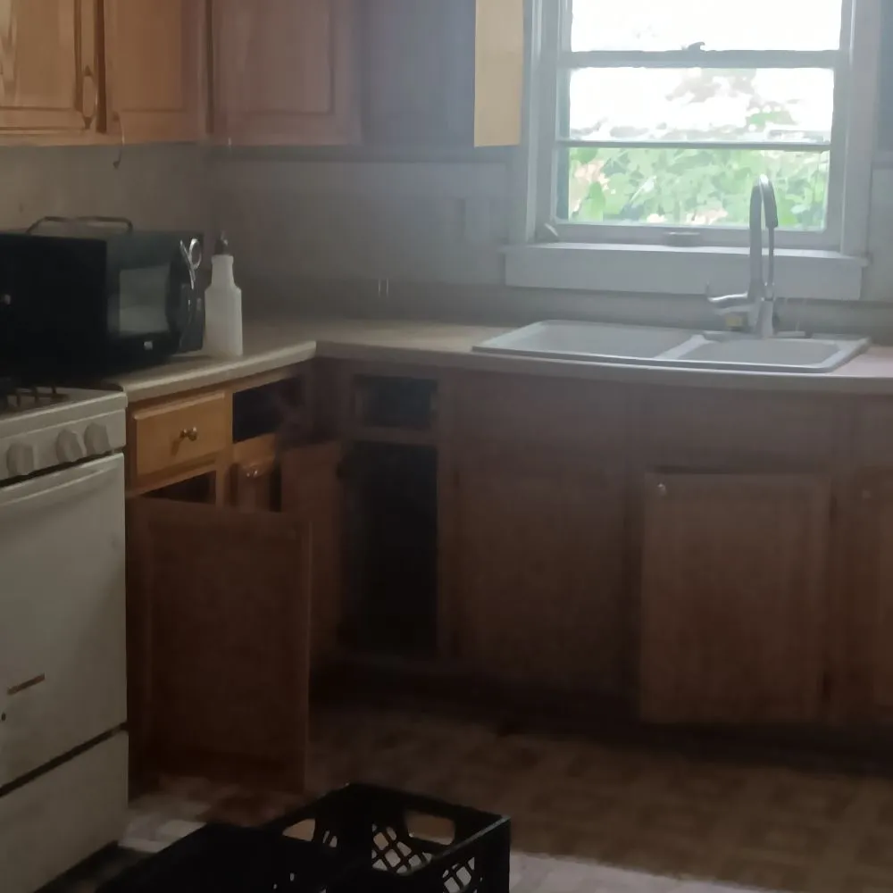 Trusted landscaping services in Rockford, IL - Busy Bee Services