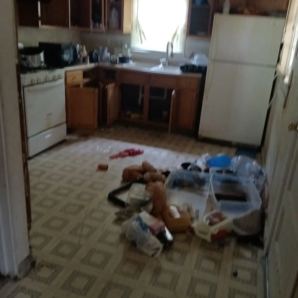 Local outdoor landscaping for outdoor upgrades across Rockford, IL - Busy Bee Services