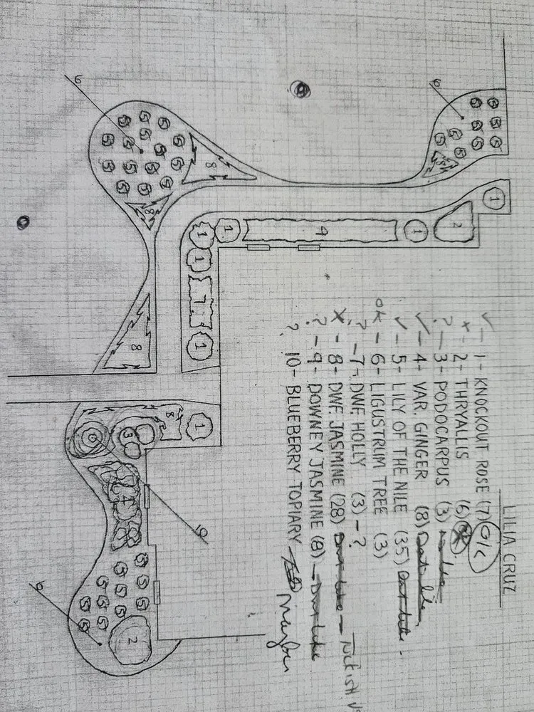 Expert landscape installation in Lakeland, FL by Busy Bee Tree