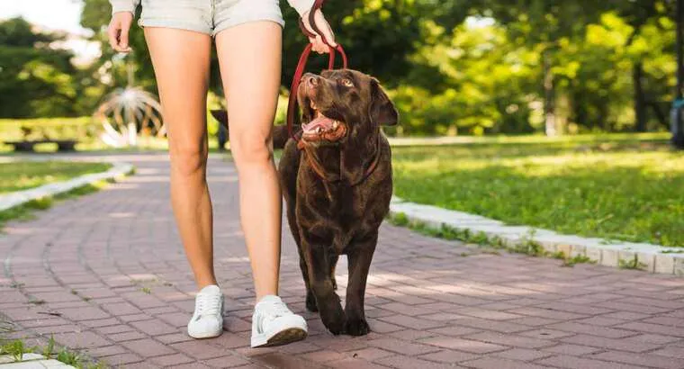 Affordable landscaping services in Natick, MA - Busy Bees Auto Upholstery