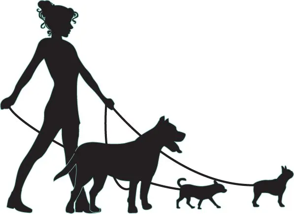 Top-rated residential landscaping experts serving Natick, MA - Busy Bees Auto Upholstery