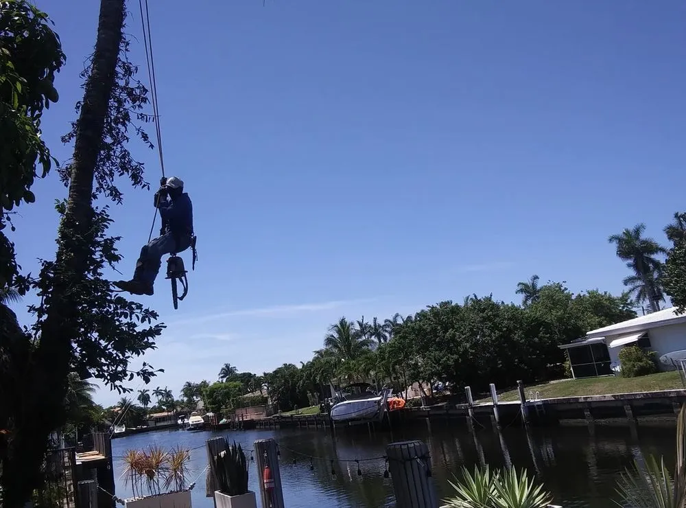 Custom garden landscaping experts serving Fort Lauderdale, FL - Busy Bees Complete Tree Services and Landscape Design