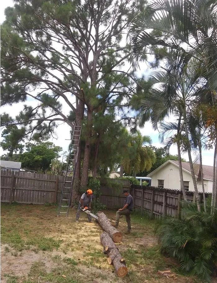 Trusted garden landscaping for year-round maintenance across Fort Lauderdale, FL - Busy Bees Complete Tree Services and Landscape Design