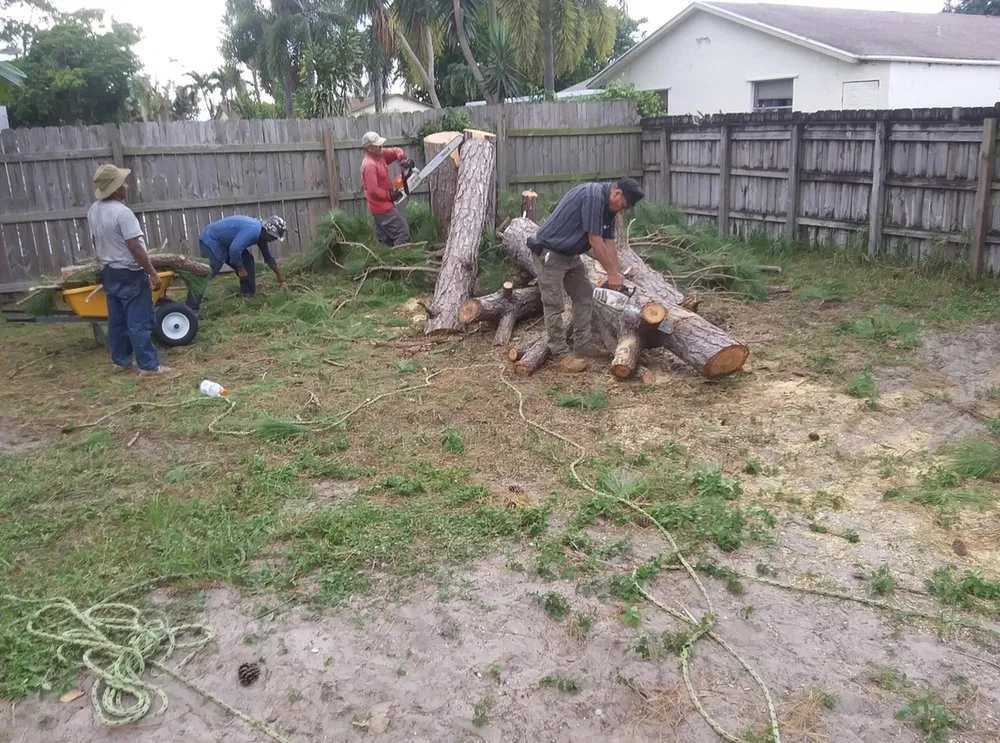 Top-rated landscape installation in Fort Lauderdale, FL - Busy Bees Complete Tree Services and Landscape Design