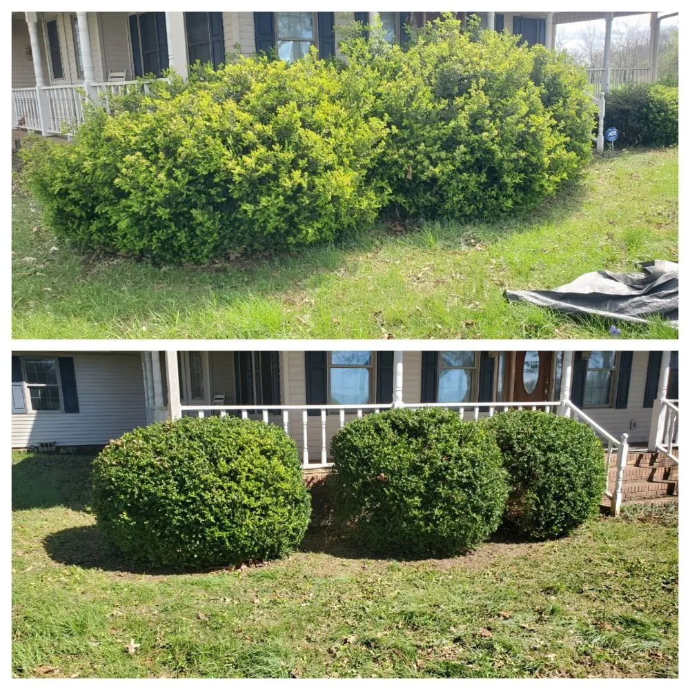 Local lawn mowing service in Murray, KY by Busy Bees Landscaping Care
