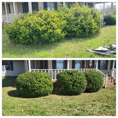 Busy Bees Landscaping Care