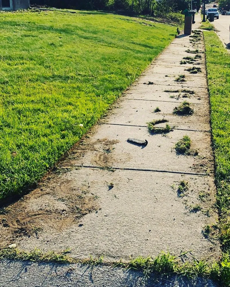 Trusted yard maintenance for year-round maintenance across Baltimore, MD - Busy Bees Lawn Care