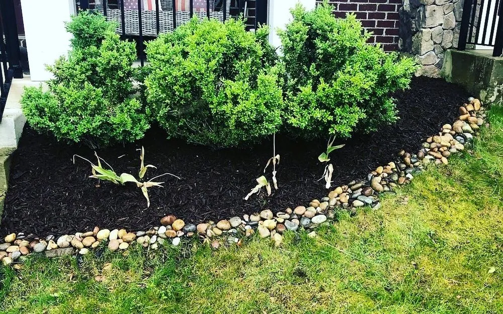 Local residential landscaping in Baltimore, MD - Busy Bees Lawn Care