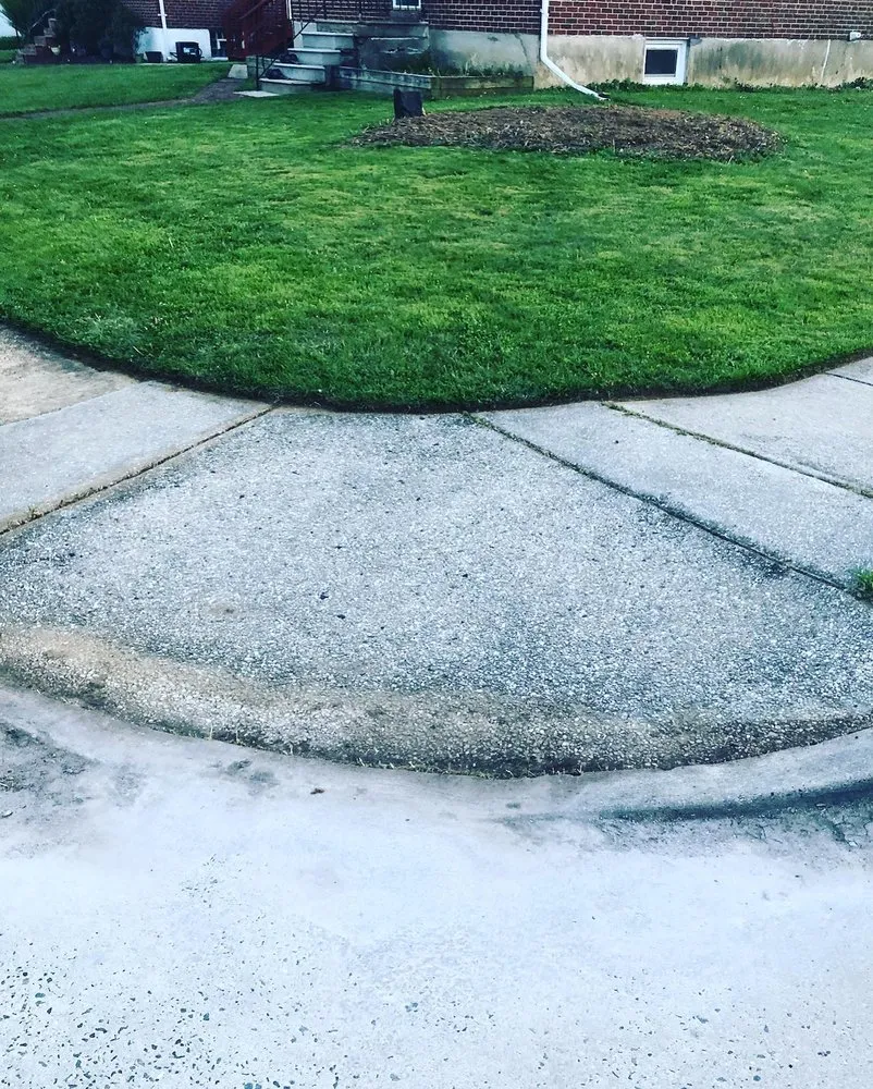 Expert yard cleanup service in Baltimore, MD - Busy Bees Lawn Care