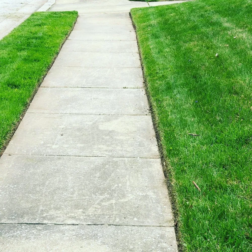 Affordable yard maintenance in Baltimore, MD by Busy Bees Lawn Care