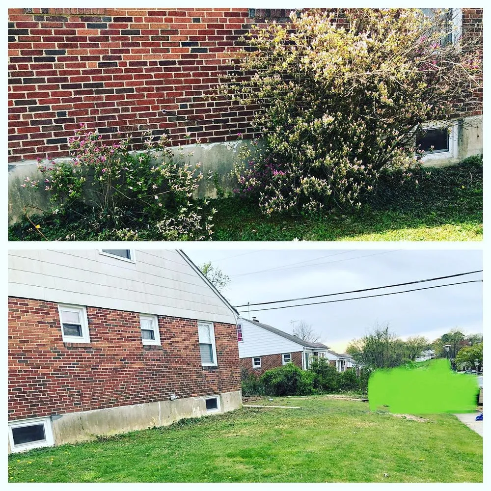 Reliable residential landscaping in Baltimore, MD - Busy Bees Lawn Care