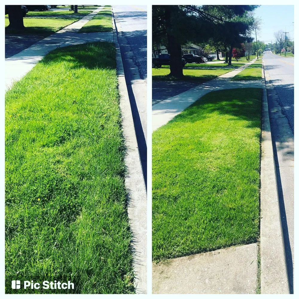 Reliable landscaping services in Baltimore, MD - Busy Bees Lawn Care