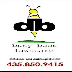 Reliable yard cleanup service in Tooele, UT - Busy Bees Lawncare