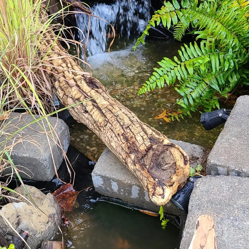 Affordable yard cleanup service for residential properties across Hopewell, VA - Busy Bee's Oasis