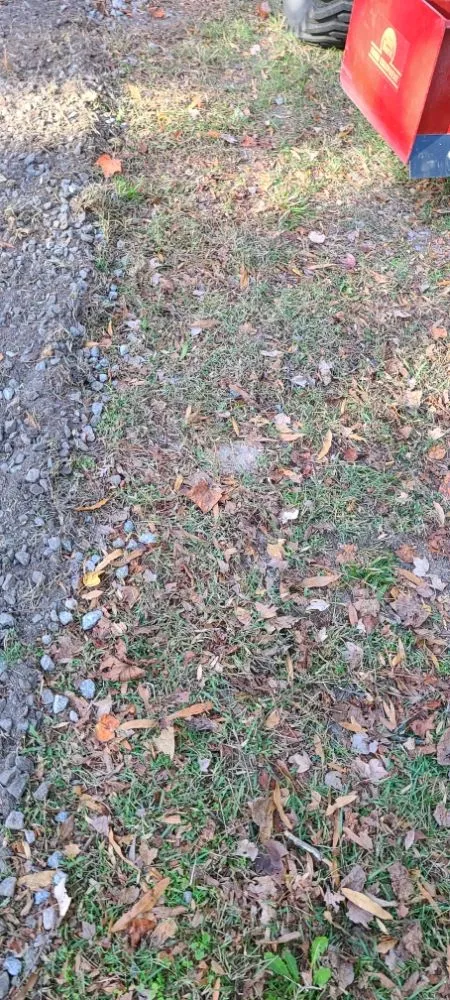 Local landscaping services in Hopewell, VA by Busy Bee's Oasis