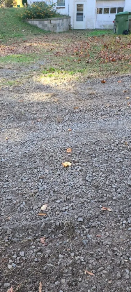 Professional lawn mowing service in Hopewell, VA - Busy Bee's Oasis