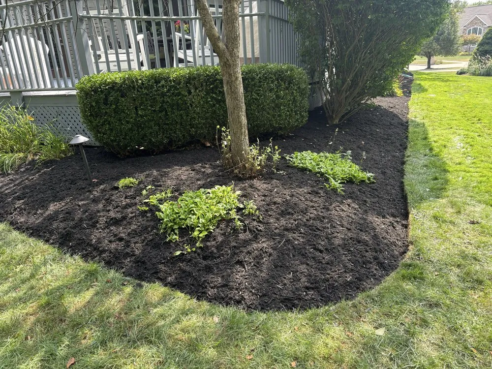 Expert yard maintenance for residential properties in Brecksville, OH by Busy Bees Outdoor Services