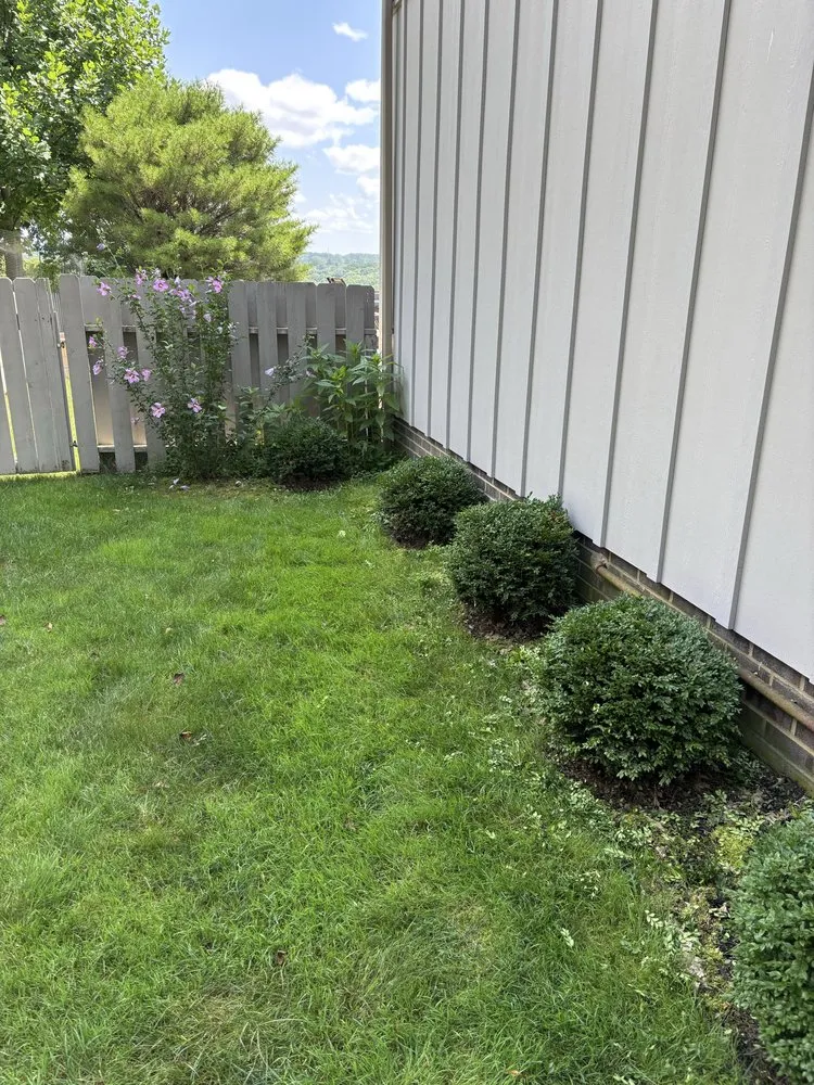 Professional landscaping services experts serving Brecksville, OH - Busy Bees Outdoor Services