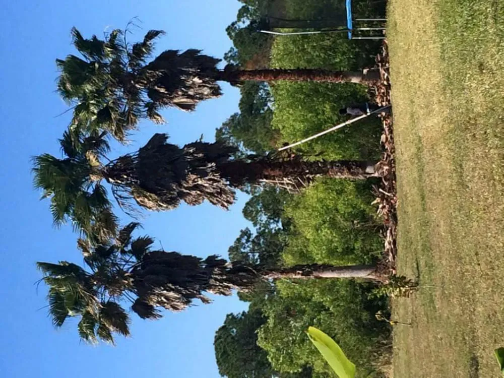 Top-rated garden landscaping in Jupiter, FL - Busy Blades Lawn Service