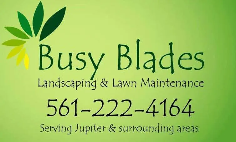 Affordable landscape design for beautiful yards across Jupiter, FL - Busy Blades Lawn Service