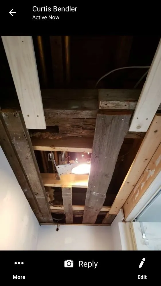 Trusted yard cleanup service for residential properties across Okemos, MI - Busy Body Building Services