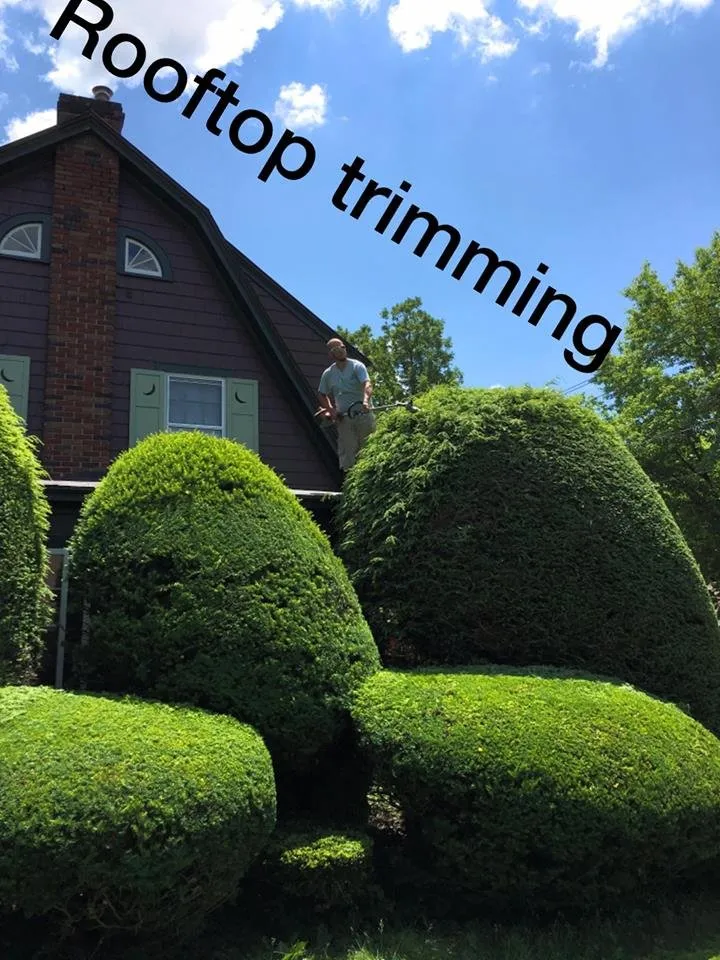 Custom residential landscaping in Rome, NY - Busy B’s Landscape and Fence