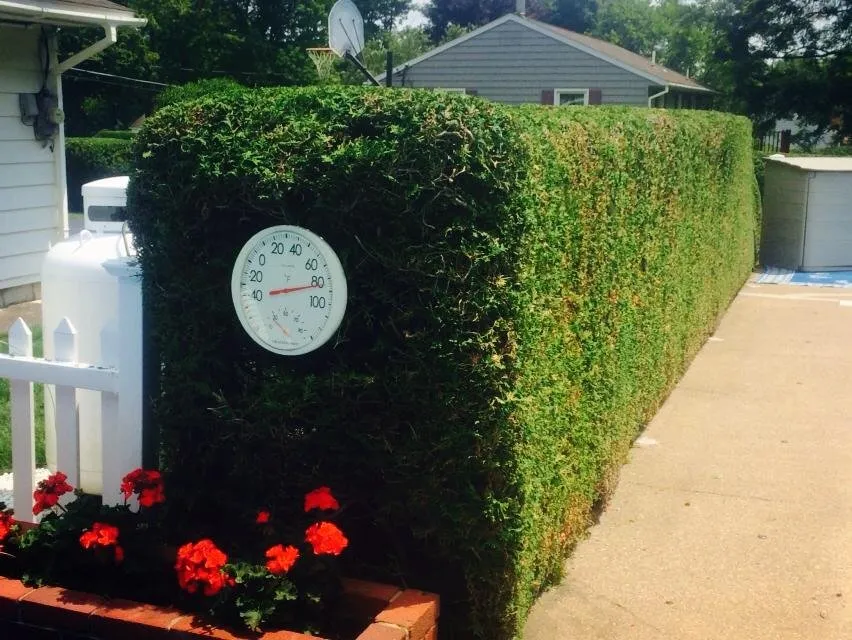 Local lawn care service experts serving Rome, NY - Busy B’s Landscape and Fence