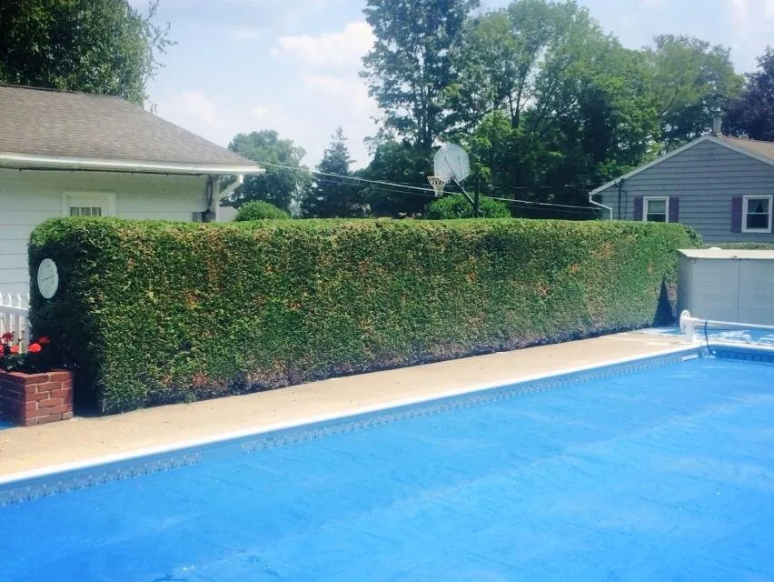Top-rated yard cleanup service for residential properties in Rome, NY by Busy B’s Landscape and Fence