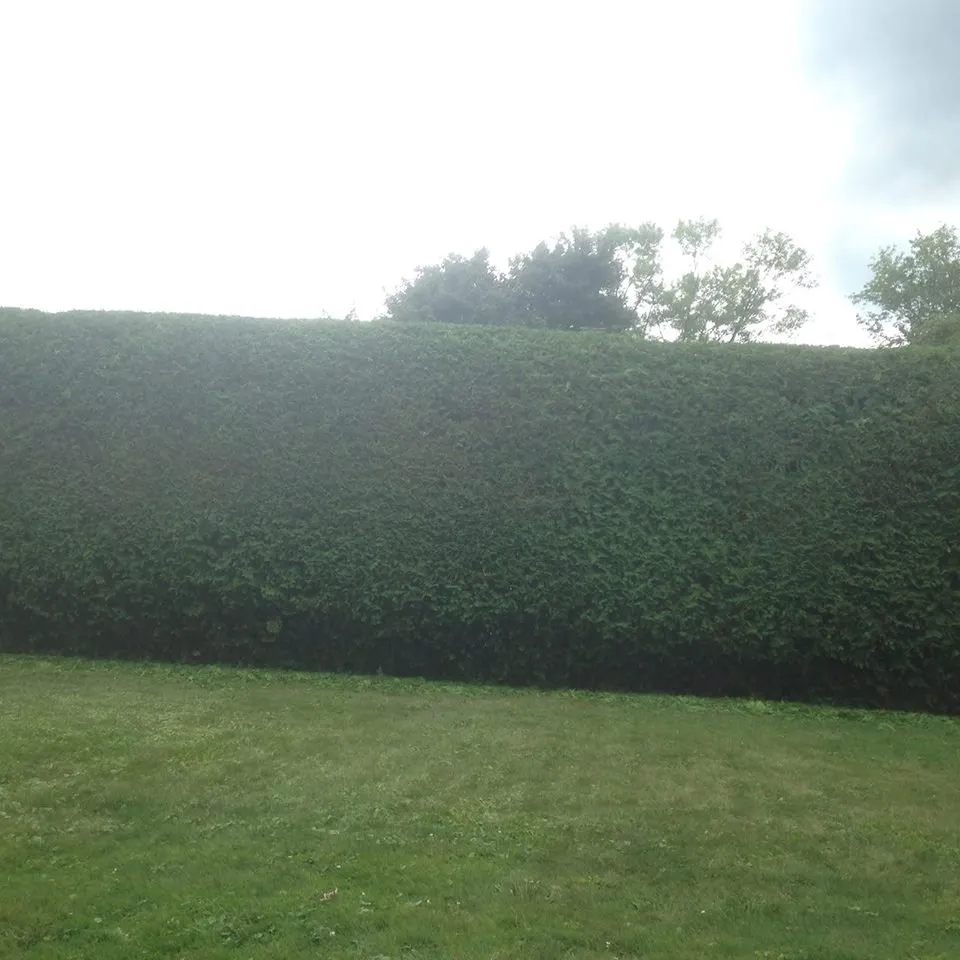 Reliable outdoor landscaping for beautiful yards in Rome, NY by Busy B’s Landscape and Fence