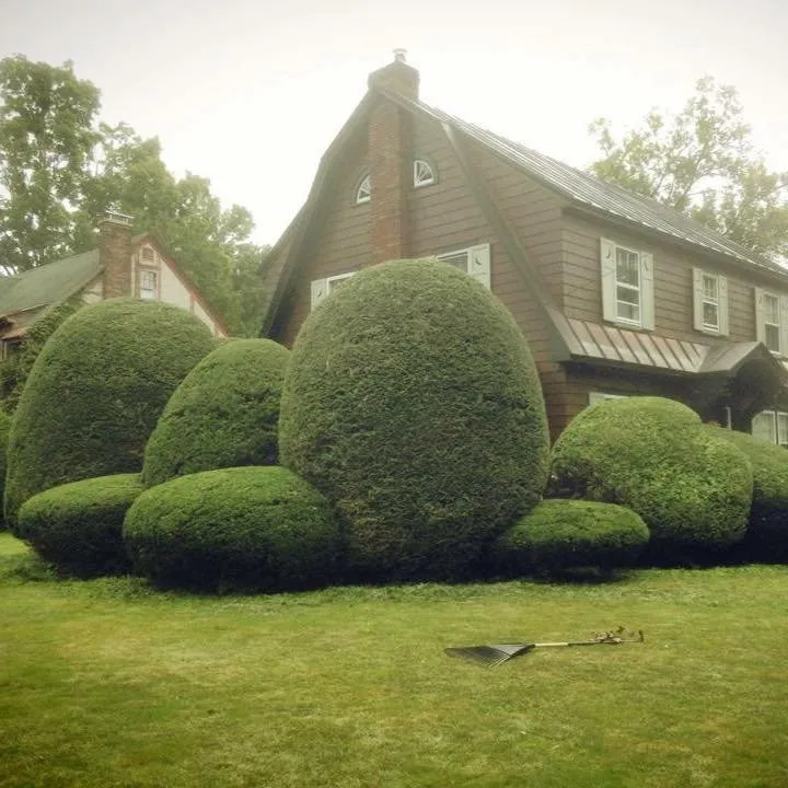 Local lawn mowing service experts serving Rome, NY - Busy B’s Landscape and Fence