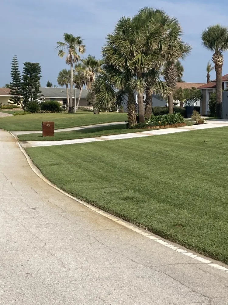 Reliable landscape installation in Palm Coast, FL by Busy B’S Lawn & Landscape